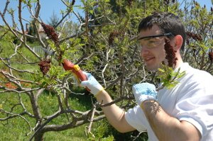 Expert gardening services in Guildford